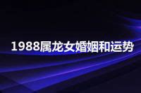 1988属